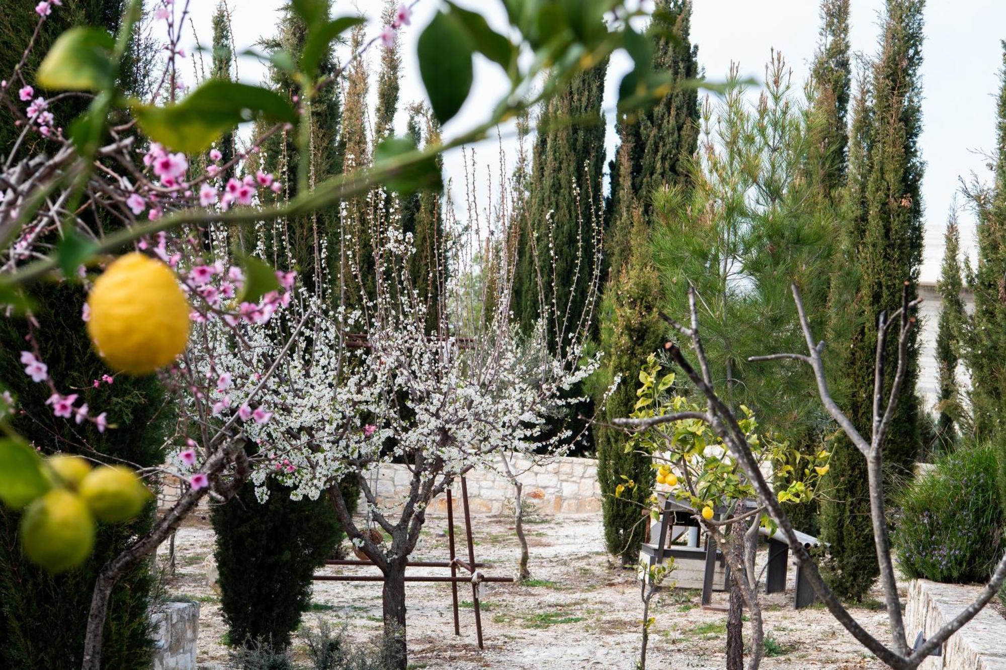 Ayia Marina Βίλα Κάθηκας Εξωτερικό φωτογραφία